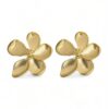 Aretes Bootes